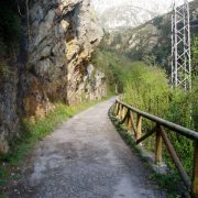 Asturias - Senda del Oso